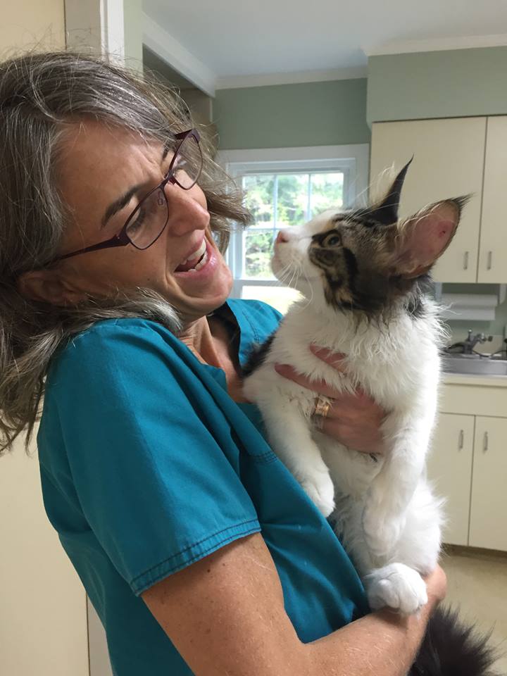 Veterinary and Rehabilitation Center of Cape Elizabeth - Veterinary Technician Pam Pasch Veterinary and Rehabilitation Center of Cape Elizabeth - Veterinary Technician Pam Pasch