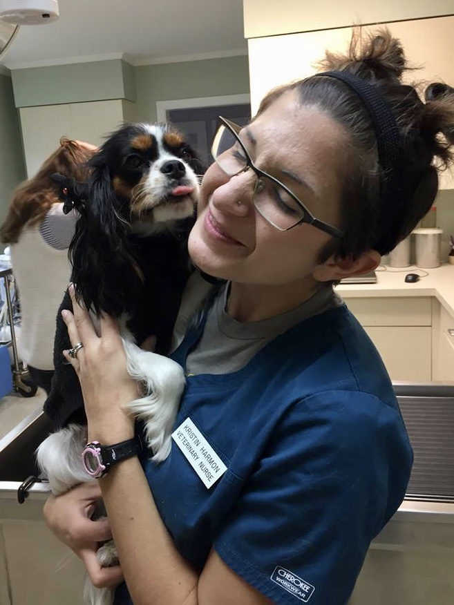 Veterinary and Rehabilitation Center of Cape Elizabeth Veterinary Assistant Kristin Harmon Veterinary and Rehabilitation Center of Cape Elizabeth Veterinary Assistant Kristin Harmon