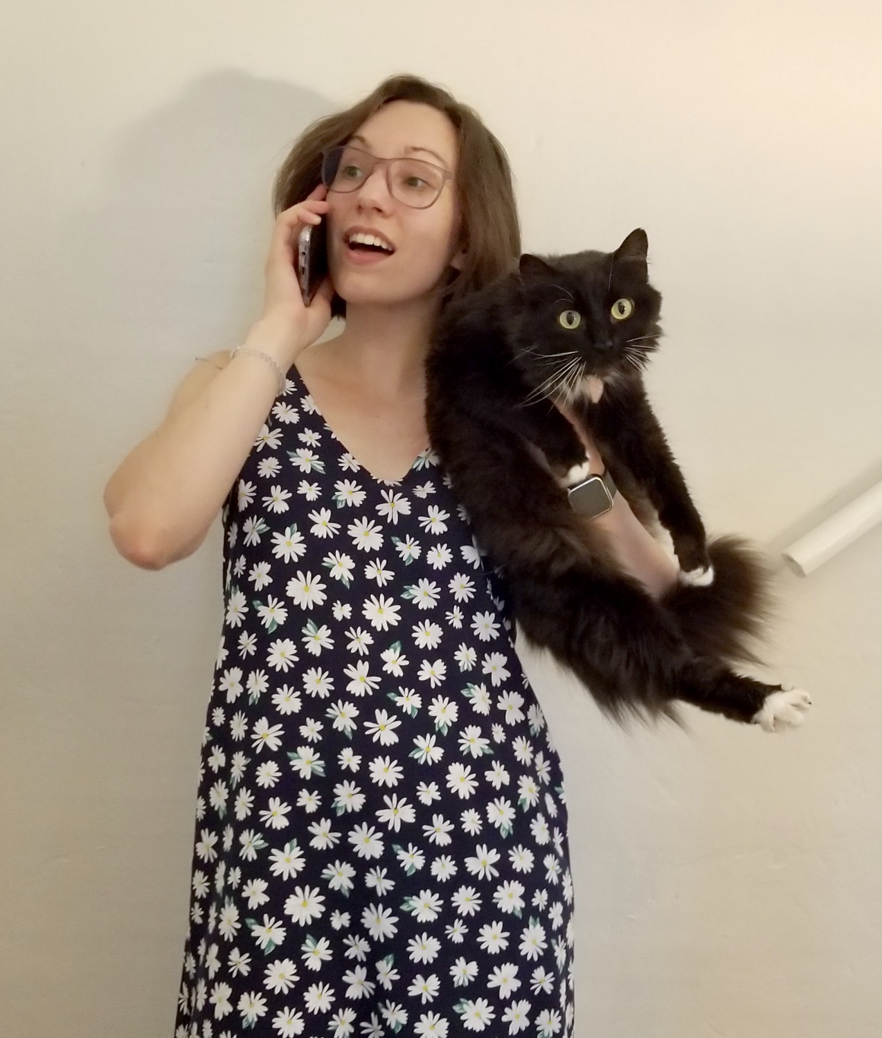 Person holding cat