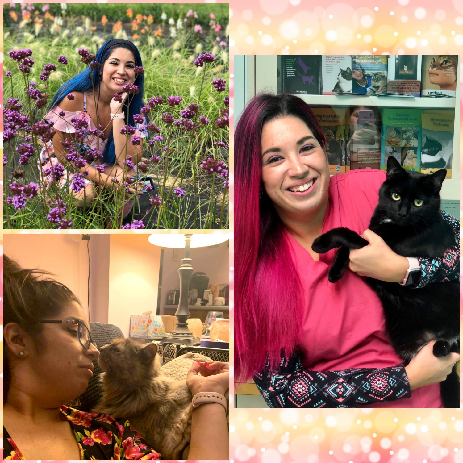 Amanda Whitney LVT Veterinary and Rehabilitation Center of Cape Elizabeth veterinary nurse licensed veterinary technician Amanda Whitney LVT Veterinary and Rehabilitation Center of Cape Elizabeth veterinary nurse licensed veterinary technician