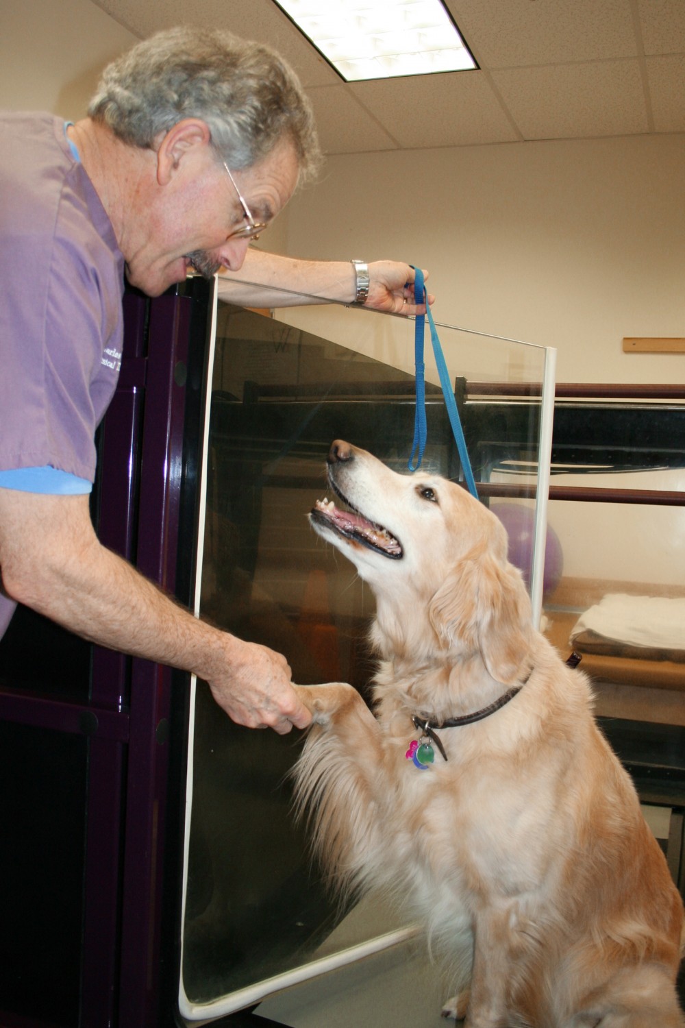Sports Medicine for pets, physical therapy, CCRP, Charlie Evans has joined local Cape Veterinary Clinic on Route 77, AAHA accredited veterinary clinic, Veterinary and Rehabilitation Center of Cape Elizabeth, Sports Medicine for pets, physical therapy, CCRP, Charlie Evans has joined local Cape Veterinary Clinic on Route 77, AAHA accredited veterinary clinic, Veterinary and Rehabilitation Center of Cape Elizabeth,