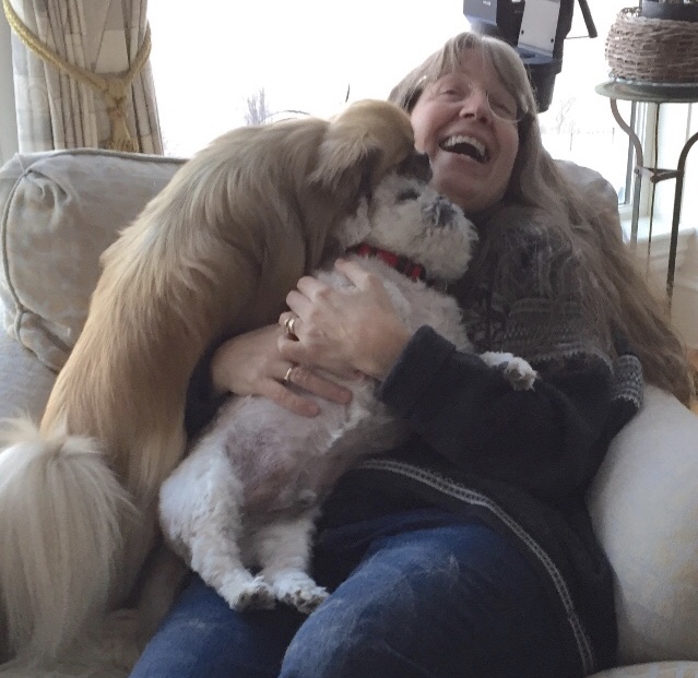 veterinary and rehabilitation center of cape elizabeth , marketing and digital management, Robin Elliott veterinary and rehabilitation center of cape elizabeth , marketing and digital management, Robin Elliott