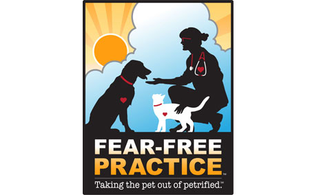 Home Veterinary And Rehabilitation Center Of Cape Elizabeth