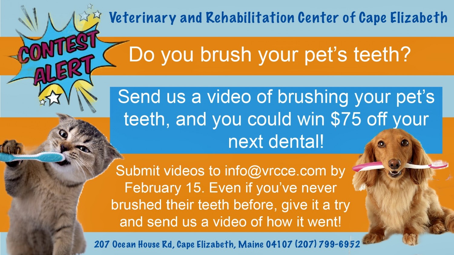 Pet dental health awareness contest veterinary services 