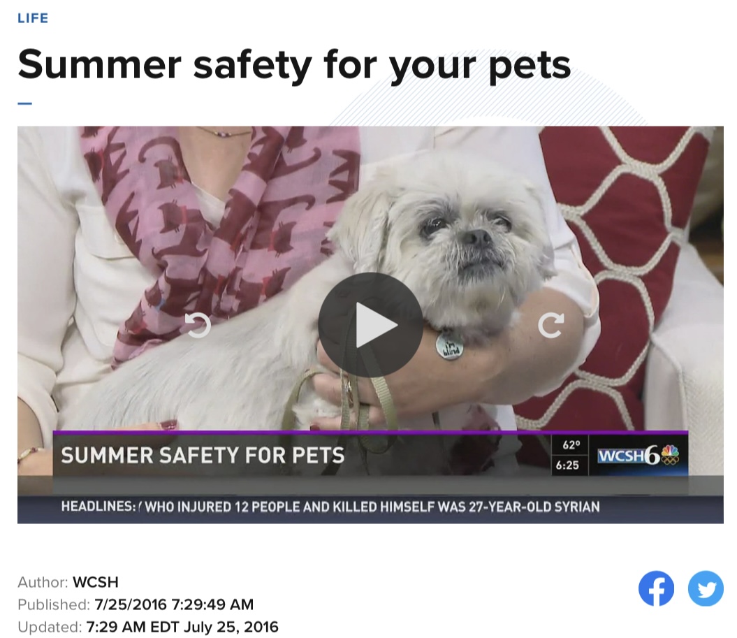 Dr. Ginger Browne Johnson of the Veterinary and Rehabilitation Center of Cape Elizabeth discusses Summer Safety for Pets on WCSH