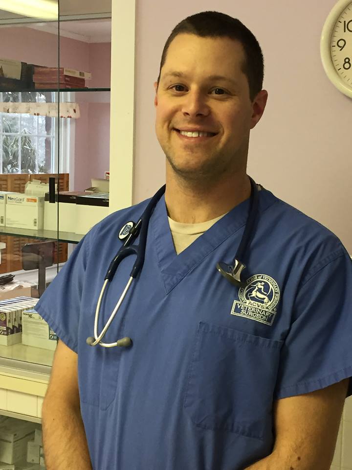 Dr. Mark House DVM, ACVS Dr. Mark House DVM, ACVS