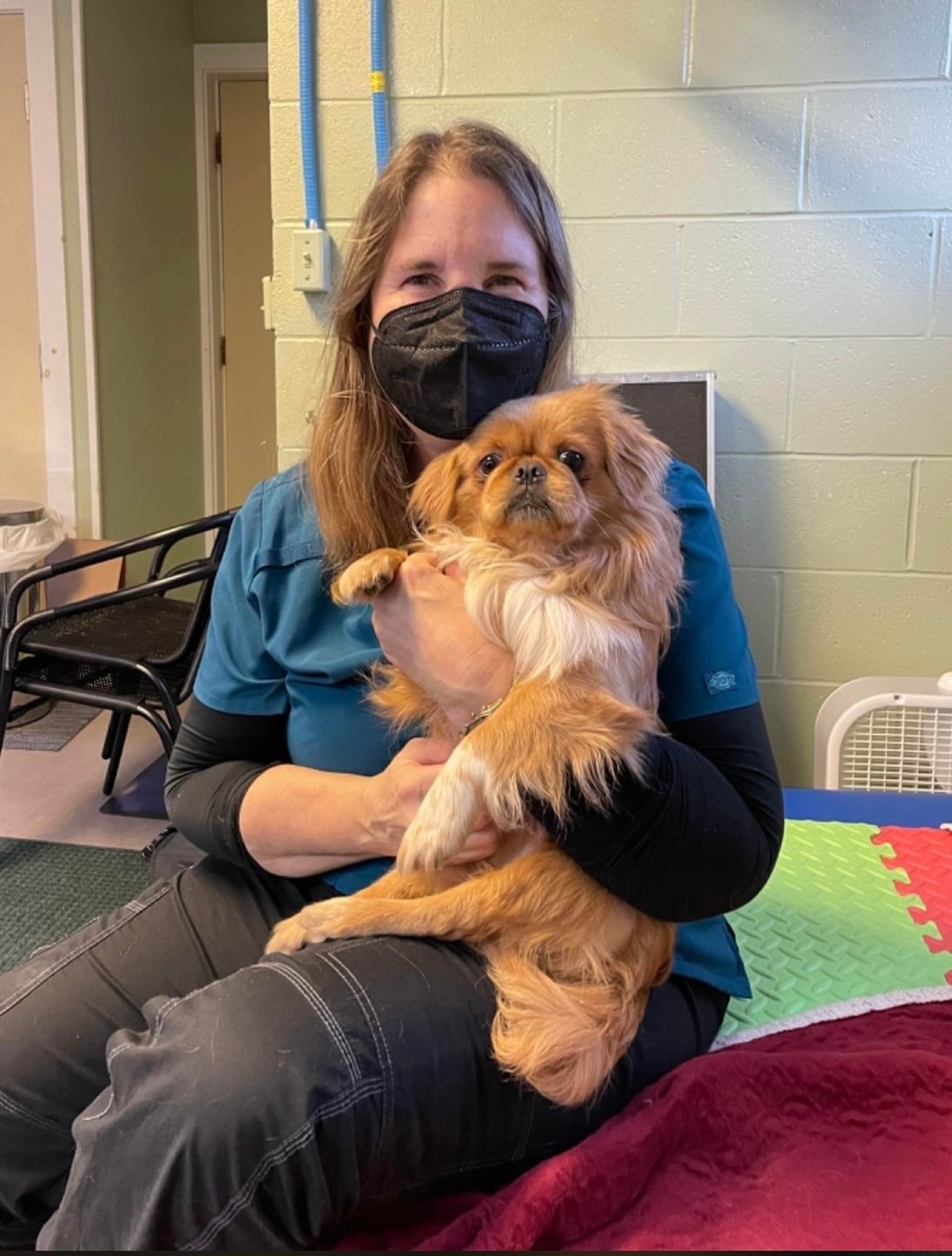 Lisa and Marco in canine rehabilitation, Marco was rescued through Little Paws Big Hearts Rescue, with a spinal injury. He is working with our physical therapy specialists, and is gaining strength and balance. Veterinary and Rehabilitation Center of Cape Elizabeth is an AAHA accredited facility fully staffed with CCRPs trained in Canine sports medicine, physical therapy, wheelchair fittings, bracing and more.