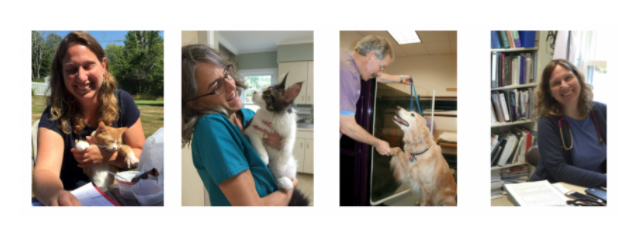 Collage of Pets