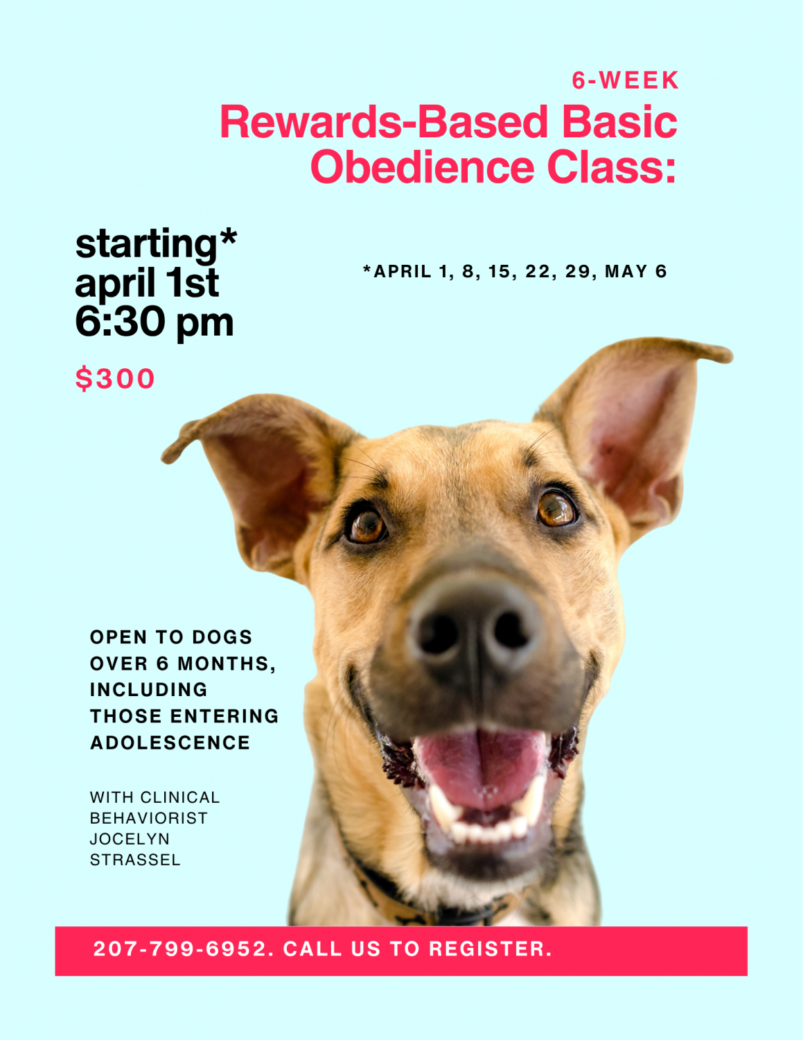 rewards based obedience class with light blue background and golden dog face